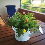 Апартаменты Mosel 3-zimmer Garten Balkon Free Parking Netflix Premium Premium
