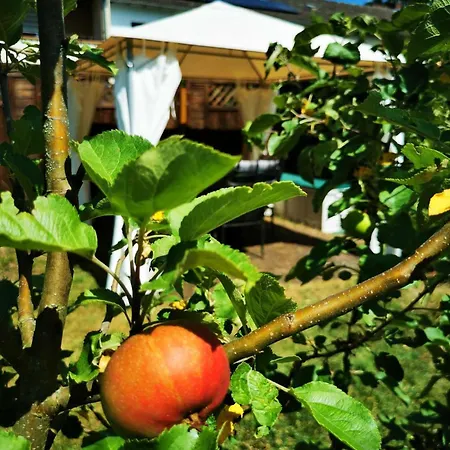 Mosel 3-zimmer Garten Balkon Free Parking Netflix Premium Premium Διαμέρισμα