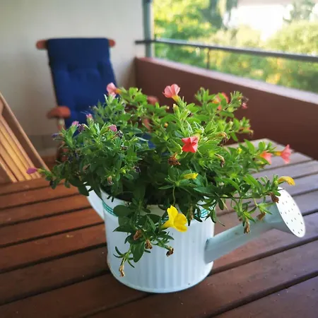 Lägenhet Mosel 3-zimmer Garten Balkon Free Parking Netflix Premium Premium