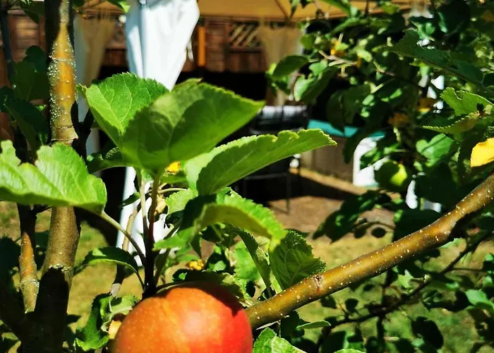 Mosel 3-zimmer Garten Balkon Free Parking Netflix Premium Premium Διαμέρισμα