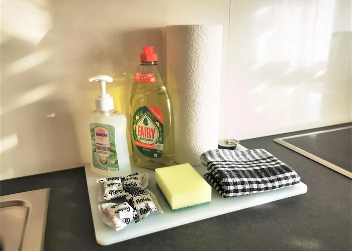 Mosel 3-zimmer Garten Balkon Free Parking Netflix Premium Premium Appartement Coblence