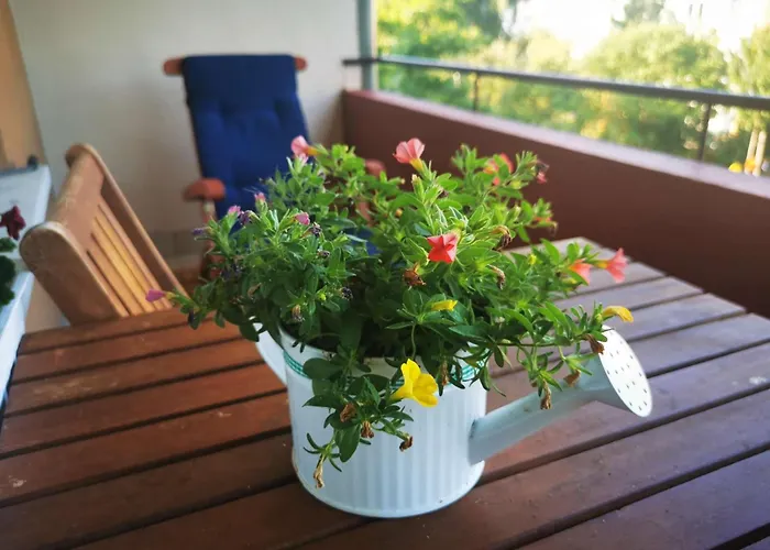 Διαμέρισμα Mosel 3-zimmer Garten Balkon Free Parking Netflix Premium Premium